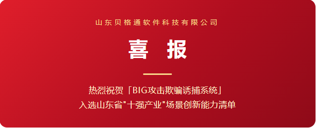 山东省发改委认定!BIGTONG跻身“十强产业”场景创新能力清单
