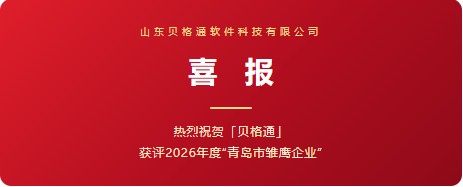 喜报|BIGTONG获评2026年度"青岛市雏鹰企业"